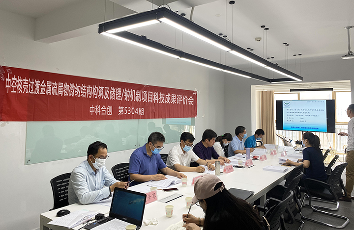 中空核壳过渡金属硫属物微纳结构构筑及储锂 钠机制 anli.jpg